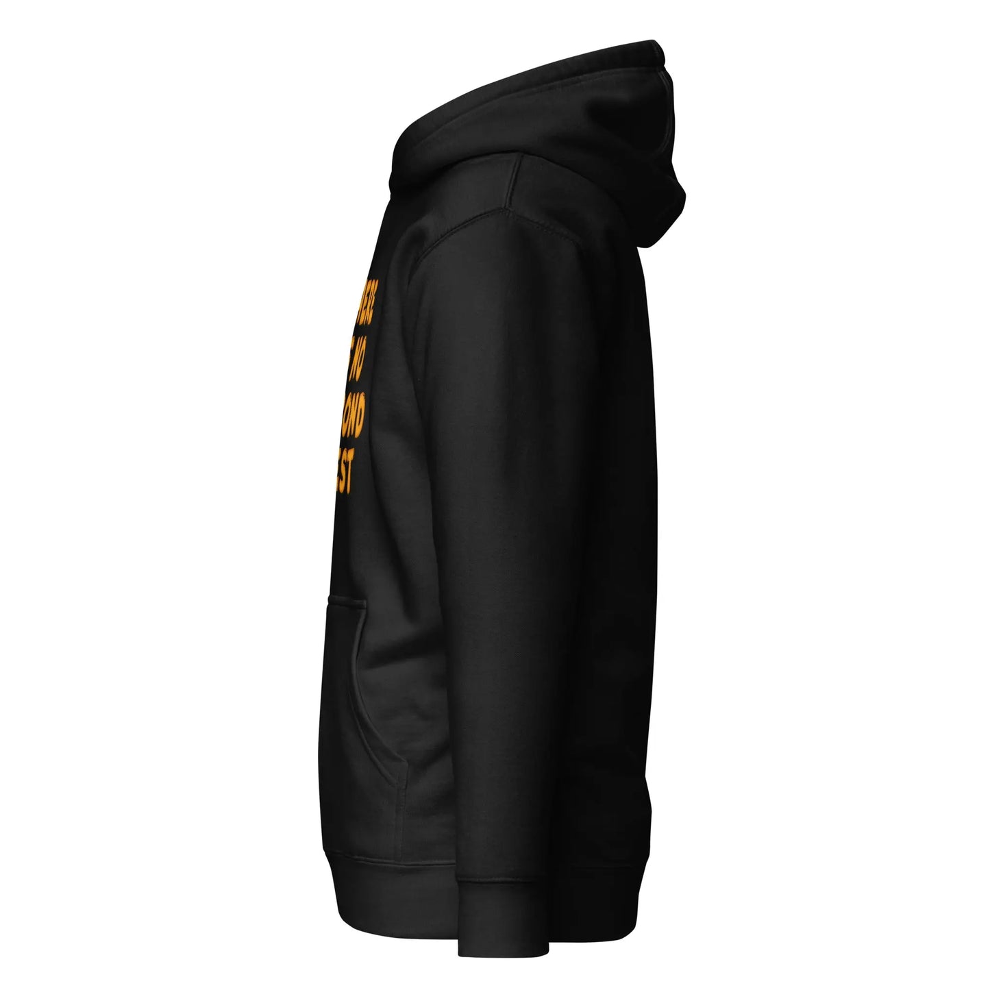 No Second Best - Premium Unisex Bitcoin Hoodie Store of Value